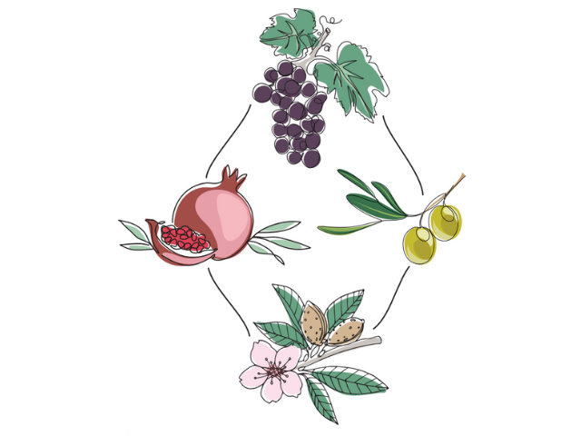 A pomegranate, a bunch of grapes, an olive branch, and an almond flower in a diamond pattern, connected by lines.