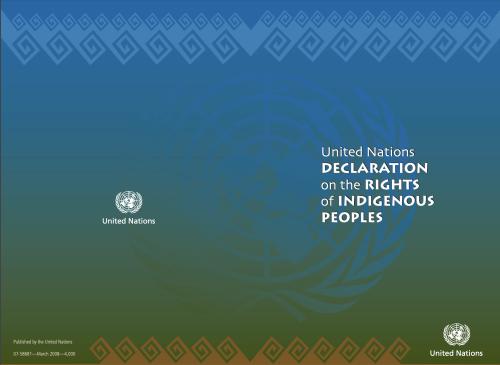 UNDRIP Image